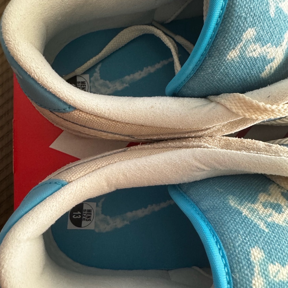 Nike Dunk SE Low “ Los Angeles “ - Picture 7 of 11